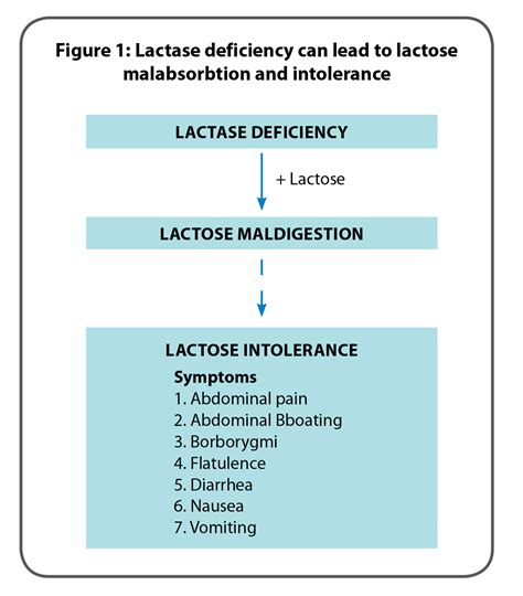 Your Complete Guide To Lactose Intolerance: Causes And, 56% OFF