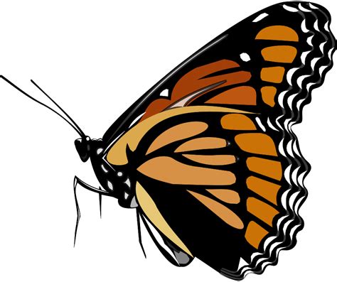 Monarch Butterfly Vector Clip Art Public Domain Vectors