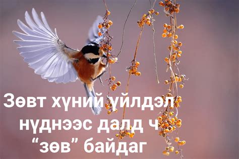 Зөвт хүний үйлдэл нүднээс далд ч... - Би хотын соёлтой иргэн | Facebook
