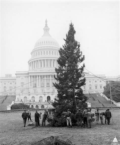 Capitol Christmas Tree | Architect of the Capitol | United States Capitol