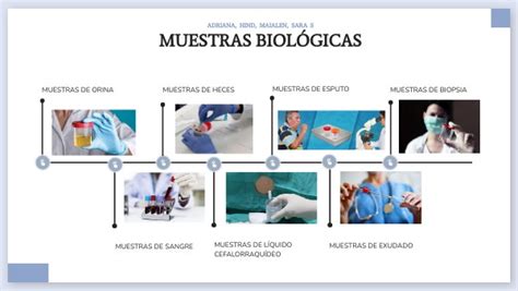 Tipos De Muestras Biol Gicas Adriana Hind Maialen Sara S