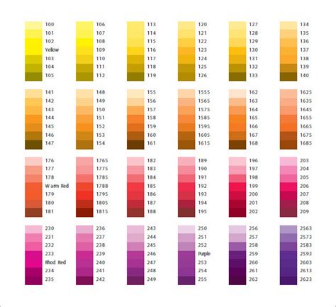 FREE 6 Sample Pantone Color Chart Templates In PDF