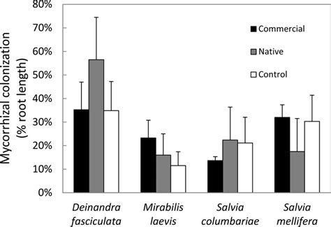 Percent Root Length Colonized By Am Structures In Four Native Plant