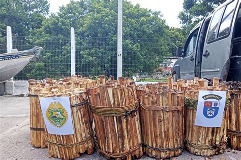 Batalhão Ambiental aplicou R 60 2 milhões em multas e atendeu 14 mil