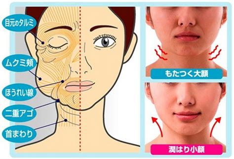 Japanese Massage Face Telegraph