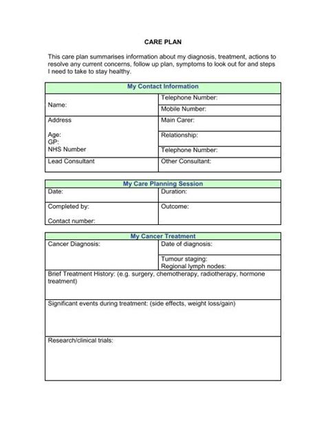 Example Care Plan Template Nhs Improvement