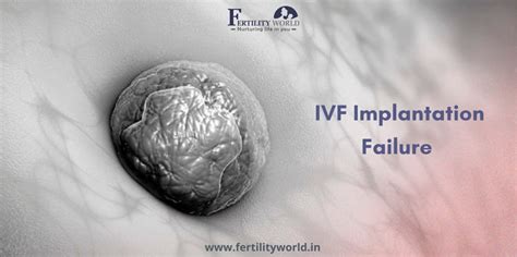 What Are The Reasons For Ivf Failure Fertilityworld