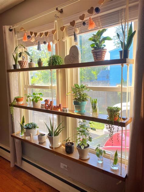 Window Shelf For Plants Artofit