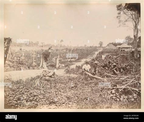 European Colonialism In Indonesia 1900 1890 View Of A Plantation