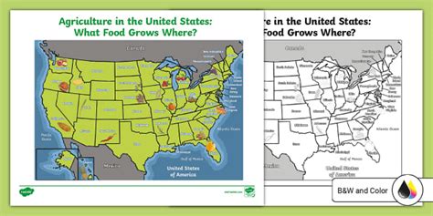 Agricultural Picture Map of the United States: What Food Grows Where?