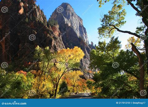 Fall Color in Zion National Park Stock Photo - Image of utah, leaves ...