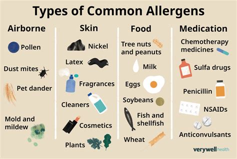 Allergens Types Function Risks