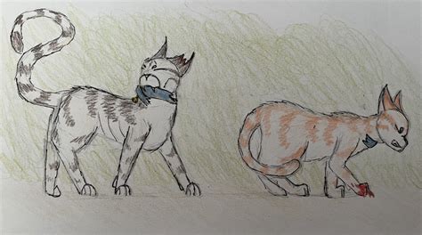 July Fan Art Submission Warrior Cats