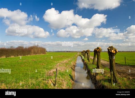 Typical Dutch Landscape Stock Photo Alamy