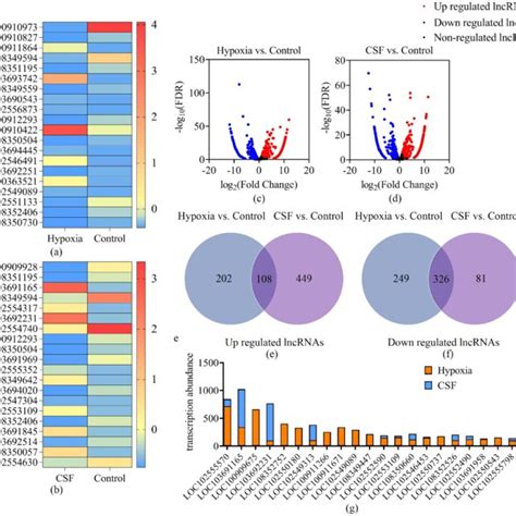 The Differential Expression Of Lncrnas In Macrophage Exosomes A And