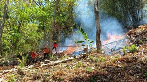 5 Hektare Lahan Terbakar Tim Satgas Karhutla Bolmong Sulawesi Utara