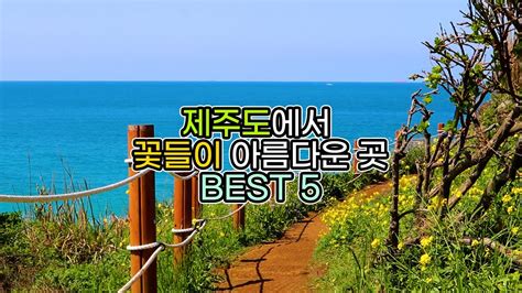 제주도 여행 가볼만한 곳 꽃들이 아름다운 여행지 베스트 5 제주 여행 훈타민 Youtube