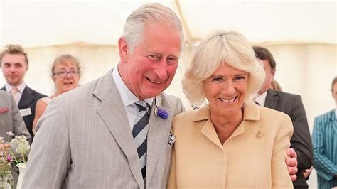 King Charles Is Outraged By What Prince Harry Wrote About Camilla