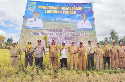 Manokwari Diharapkan Menjadi Lumbung Padi Pertama Di Papua