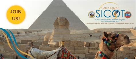 43rd Sicot Orthopaedic World Congress Cairo Owc 2023