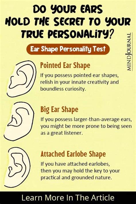 Wondering What Your Ear Reveals About You Try The Ear Shape