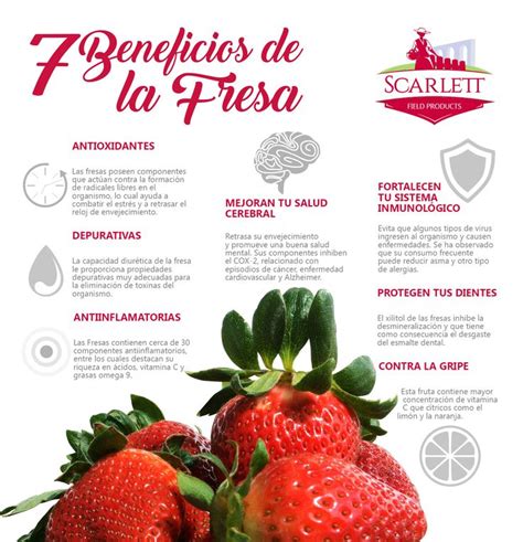 Propiedades Y Beneficios De La Fresa Infografias Infographic Frutas Images