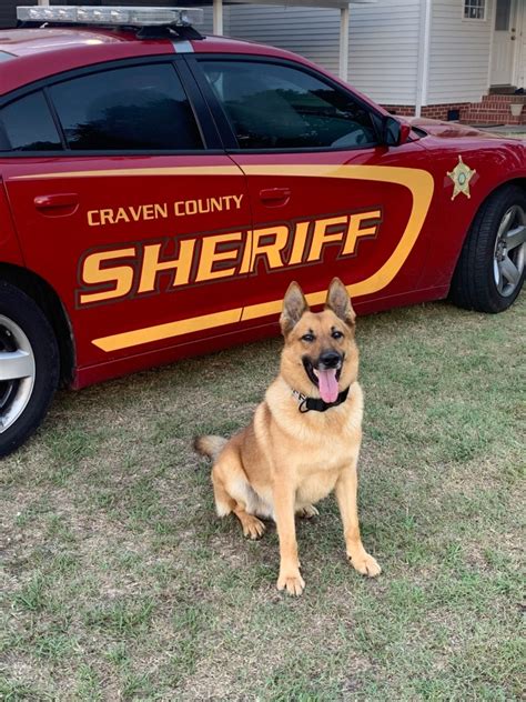 Woman Arrested After K9 Alerts Deputies To Drugs In Craven County