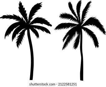 Palm Trees Black Silhouette Isolated Vector Stock Vector Royalty Free