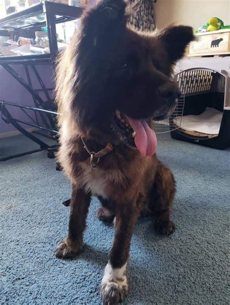 My Big Boy Teddy Ridmydog