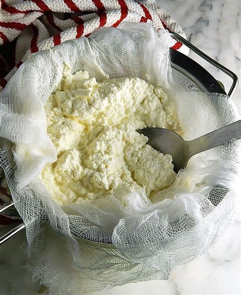 Homemade Whole Milk Ricotta - Frugal Hausfrau