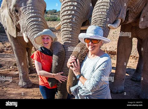 Una Madre Y Una Hija Se Aferran A Troncos Gigantes De Elefante En Un