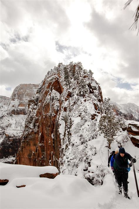 Zion National Park after a snowstorm : r/NationalPark