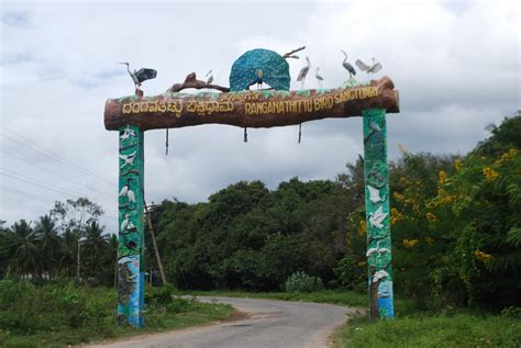 Ranganathittu Bird sanctuary – Mysore, Karnataka | The Evolving Backpacker