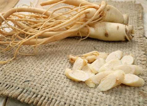 Siberian Ginseng Benefits 5 Tasty Tea Recipes Organifi