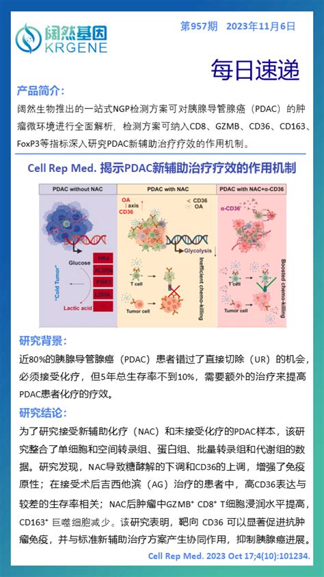 Cell Rep Med 揭示pdac新辅助治疗疗效的作用机制 阔然基因 阔然生物