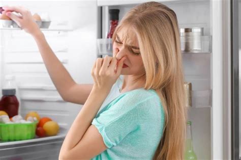 Por Qu Siempre Debes Meter Un Vaso De Vinagre En El Refrigerador