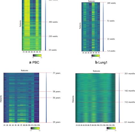 Grad CAM Heat Map Features Of Patients On The X Axis And CAM Feature