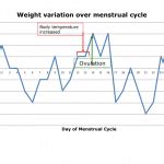 Is My Menstrual Cycle Affecting My Weight OptiMum Health