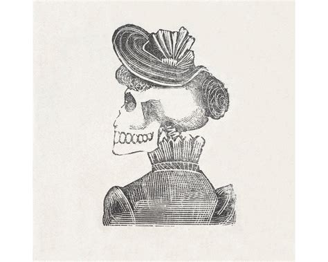 Mexican Folk Art Skulls Drawing