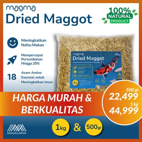 Jual Dried Maggot Kering Bsf Kg Kualitas Premium Grade A Kg Kab