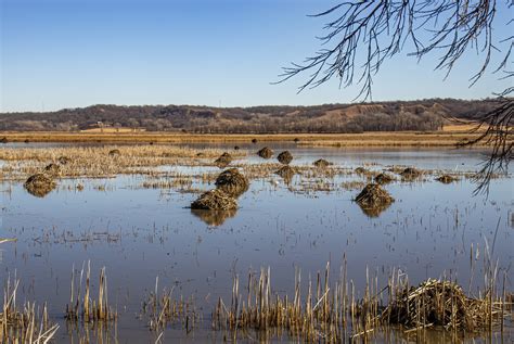 John And Sigrid S Adventures Loess Bluffs Wildlife Refuge