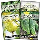 Amazon 30 Wisconsin SMR 58 Pickling Cucumber Seeds Heirloom Non