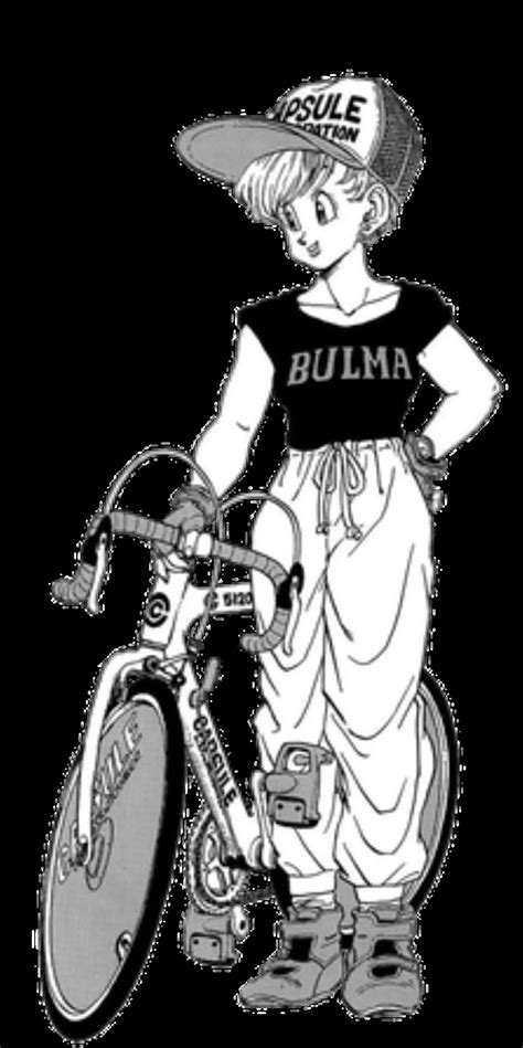 37 Facts About Bulma Factsnippet