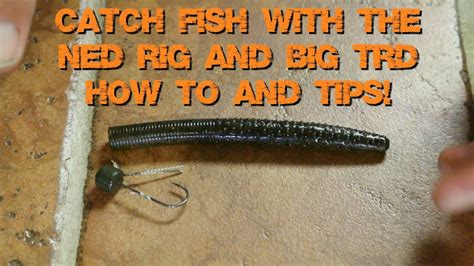 Fishing A Ned Rig With A Trd For Bass Fishing Tip Ned Rig Youtube