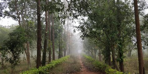 Places To Visit In Araku Valley, Andhra Pradesh | Travel Insights ...