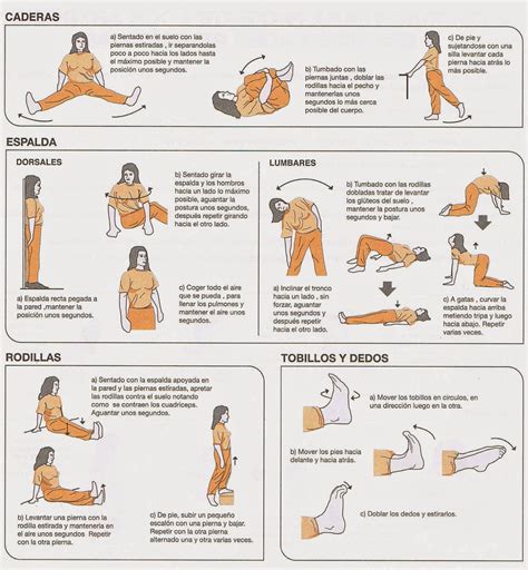 Ci Ortra Ejercicios Para Pacientes Con Artrosis Y Enfermedades Reum Ticas