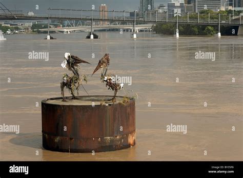 Brisbane flood damage 2011, Queensland, Australia Stock Photo - Alamy