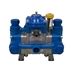 6 3 GPM 290 PSI Medium Pressure Diaphragm Pump Pentair Hypro By