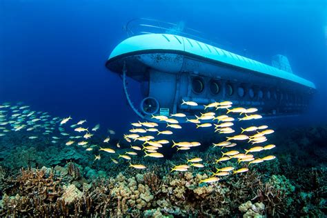 Experience The Wonders Beneath Hawaiis Waves With Atlantis Submarines