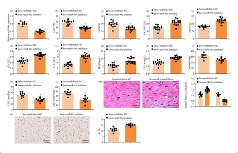 Scielo Brasil Sevoflurane Attenuates Myocardial Ischemia